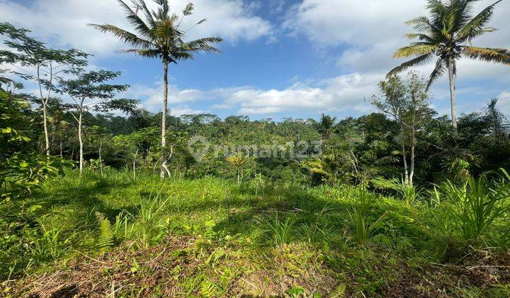 Land for sale in Ubud with river valley and jungle views 1