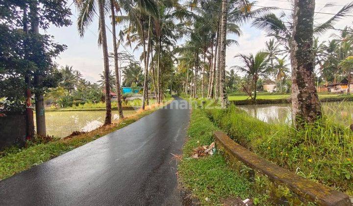 Villa for sale with land only in Ubud, central Ubud location 1