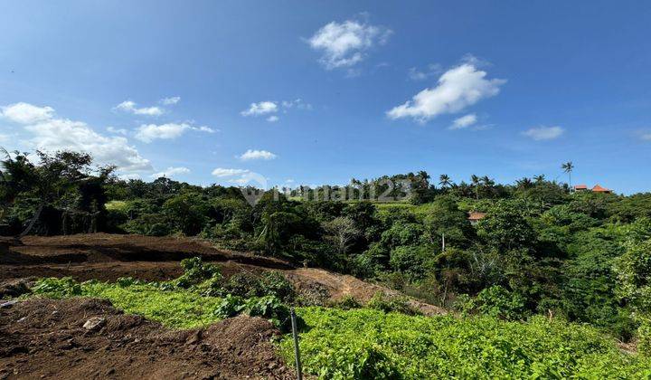 Dijual Tanah View Cantik Jungle, lembah dan sungai Di Ubud 1