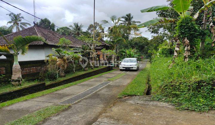 Dijual Lahan Di Area Utara Ubud Desa Bukian  2