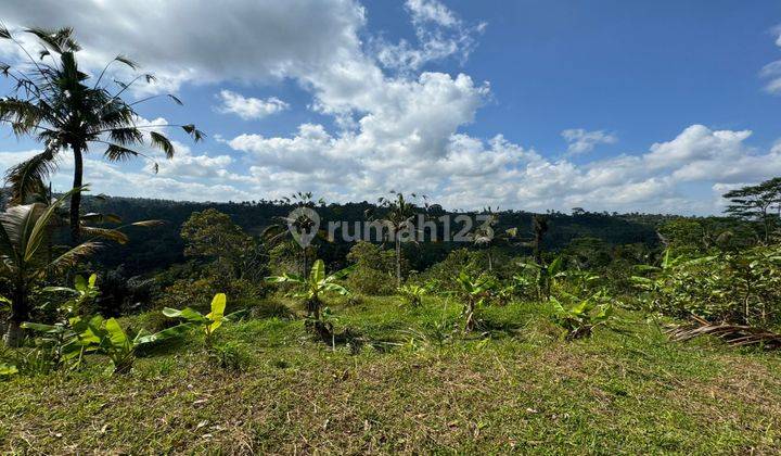 Dijual tanah premium lingkungan resort2 besar Di Ubud view Jungle 1