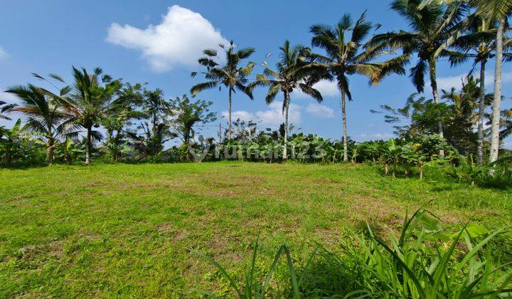 Dijual Tanah Di Ubud cocok untuk Villa & Investasi view cantik 1