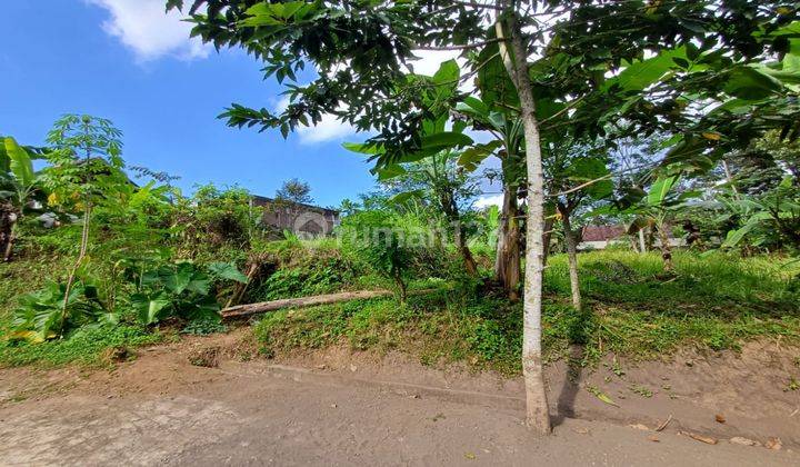 Dijual Tanah Kawasan Villa Di Ubud Central view pedesaan 1