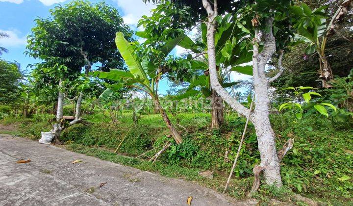 Dijual Tanah Kawasan Villa Di Ubud Central view pedesaan 2