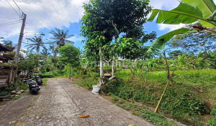 Dijual Tanah Kawasan Villa Di Ubud Central view pedesaan 1