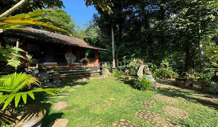 Villa for sale. Location in Ubud village with view of rice fields 7