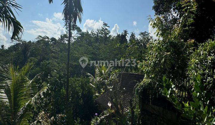 Villa for sale. Location in Ubud village with view of rice fields 8