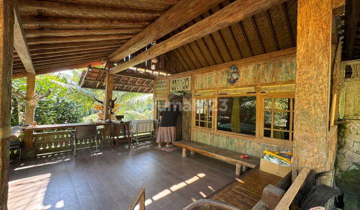 Villa for sale. Location in Ubud village with view of rice fields 20