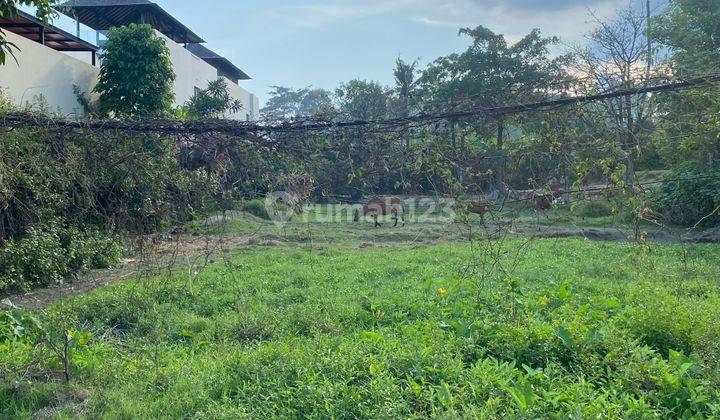 Dijual Lahan Premium Jalan Pantai Rangkan Ketewel Lingkungan Vila 2