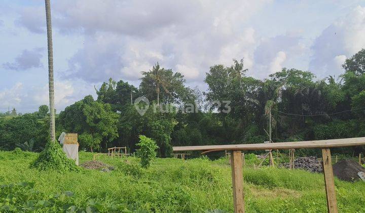 Dijual Tanah View Sawah Dan Lembah Akses Jalan 6m  2