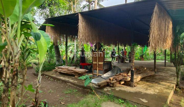 Di Jual Tanah Diselatan Ubud Lokasi Bedulu Goa Gajah 1