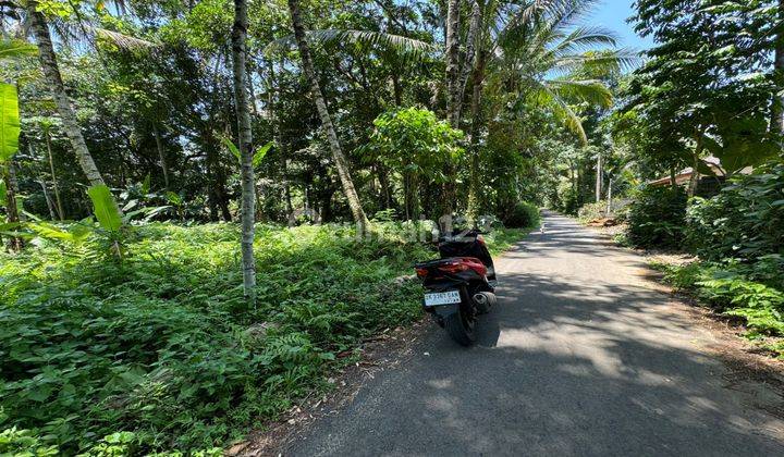 Dijual Lahan Lingkungan Ledesaan Asri Akses Jalan 4 Meter 1