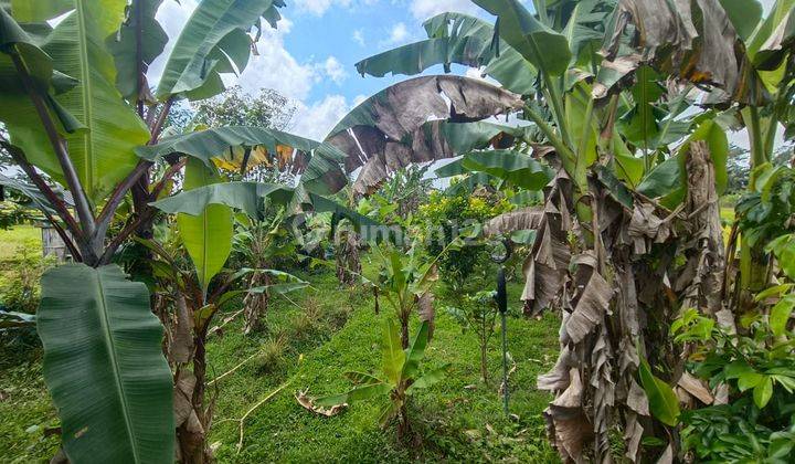 Dijual Tanah Butuh Uang Di Ubud View Lembah Dam Gunung 2