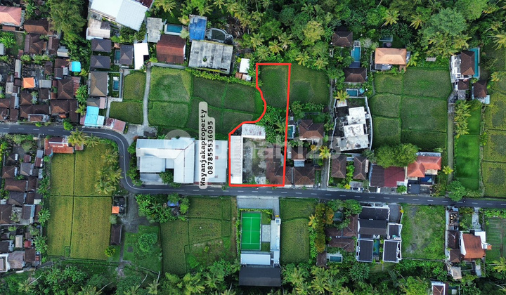Premium Land For Sale - Tirta Tawar Ubud Peaceful Environment