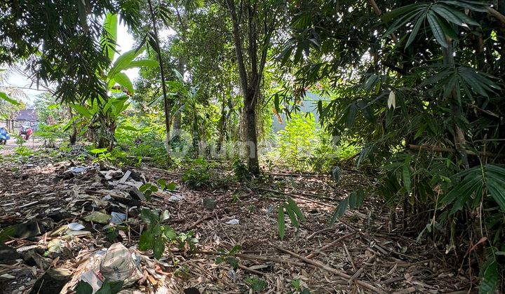Dijual Tanah Dijalan Tirta Tawar Ubud View Sawah Shm