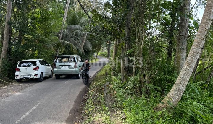 Dijual Tanah Super Langka Komersial Di Ubud View Sawah