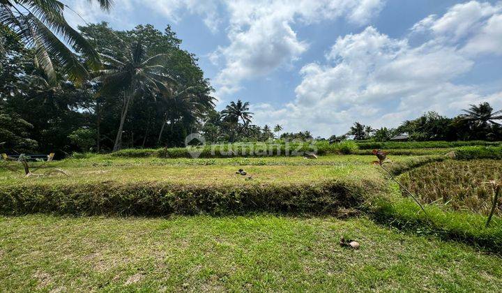 Dijual Tanah Lokasi Ubud View Hutan Sungai Dan Sawah 1