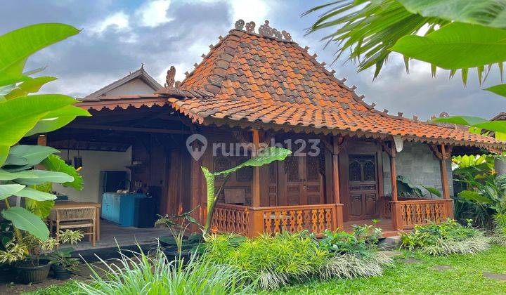 Dijual Villa Joglo Klasik Cantik Di Ubud View Pemukiman 1