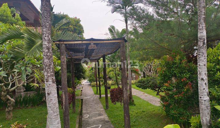 Specual Super Premium Villa Strategic Loc Ubud View Beautiful 2