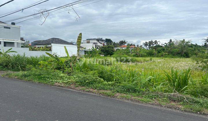 Dijual Tanah Dekat Pantai Saba Di Ubud Lingkungan Vila-Vila 2