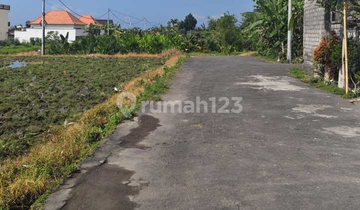 Dijual Tanah Plot Kecil Di Ketewel, Sukawati View Gunung & Sawah Dijual Tanah Plot Kecil Di Ketewel, Sukawati View Gunung & Sawah