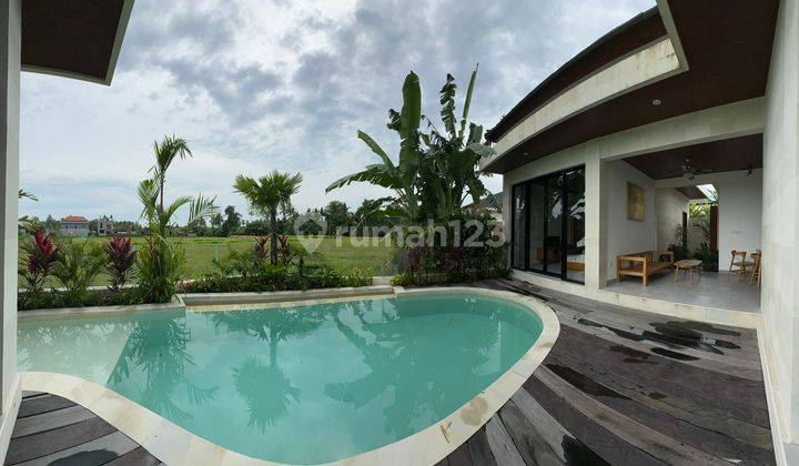 For Sale New Villa In Ubud Swimming Pool View Rice Fields Near Waterfall 1