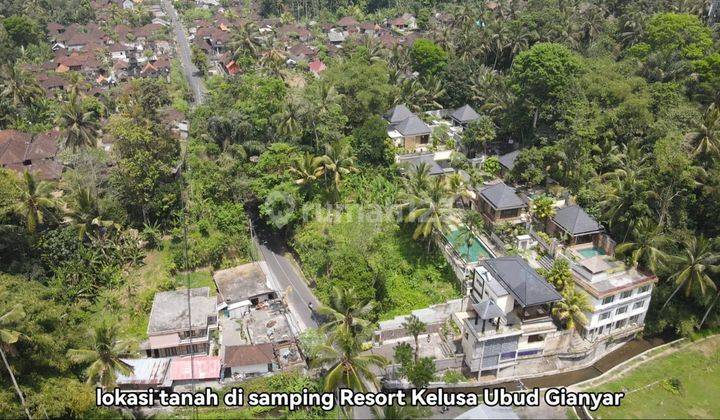 Dijual Tanah Lingkungan Resort Ubud Kontur Tanah Tinggi 2