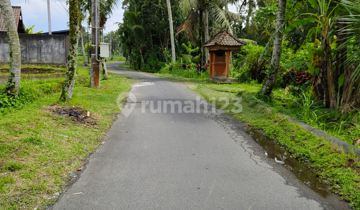 For Sale Premium Land Kenderan Tegallalang Ubud with Rice Field View