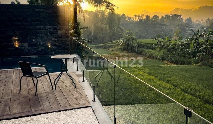 Villa View Rice Field Scenery in Ubud Ready to Occupy Quiet Environment