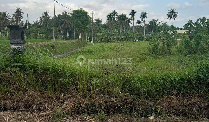 Dijual Lahan Dekat Ubud Center Lingkungan Villa Dekat Jalan Utama 1