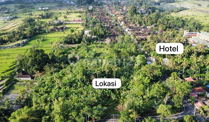 For Sale Premium Land in Ubud, Surrounded by Hotels, Villas, and Resorts For Sale Premium Land in Ubud, Surrounded by Hotels, Villas, and Resorts