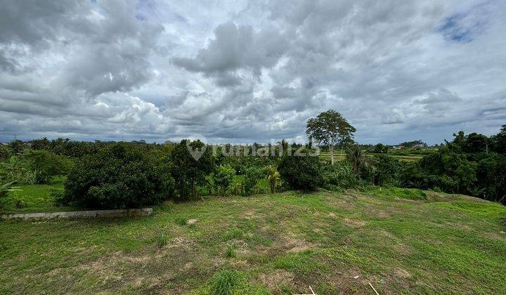 Di Jual Tanah 1000 M2 Lokasi Sukawati Dekat Balizoo View Sawah 1