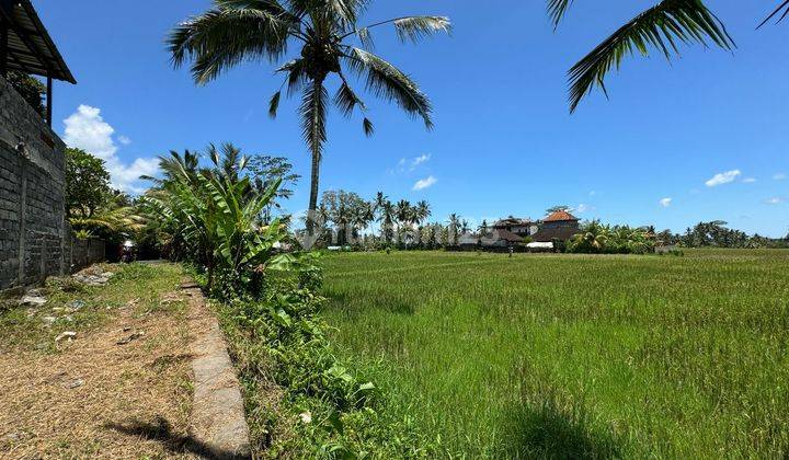 Dijual Lahan Los Sungai Lokasi Ubud View Sawah Sungai Dan Jungle 1