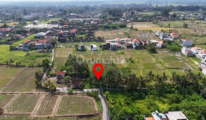 Dijual Lahan Premium Lokasi Singakerta Ubud View Sawah 2