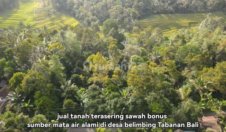 Dijual Tanah Bonus Sumber Mata Air Debid Besar Di Tabanan Bali
