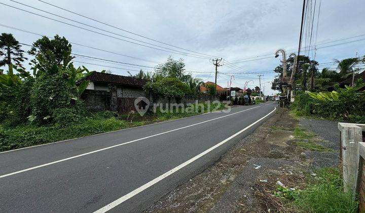 Di Jual Lahan Jalan Utama Lokasi Ubud Cocok Untuk Villa Dan Usaha 2