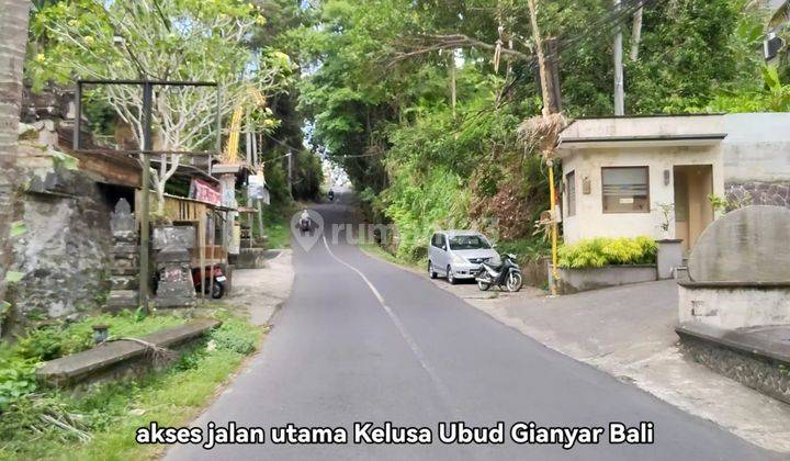 Dijual Tanah Lingkungan Resort Ubud Kontur Tanah Tinggi 2