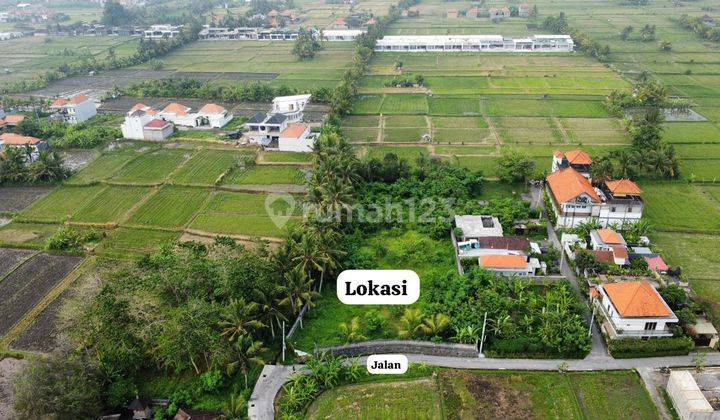 Dijual Lahan Kawasan Premium Di Ubud View Sawah Akses Jalan Mobil 1