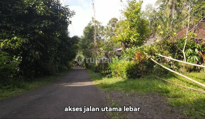 Dijual Tanah Bonus Sumber Mata Air Debid Besar Di Tabanan Bali