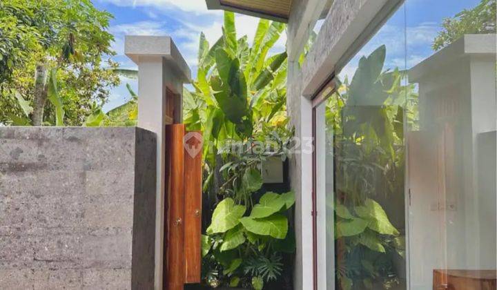 Dijual Villa New View Jungle Lokasi Desa Mas Ubud Full Furnish 2