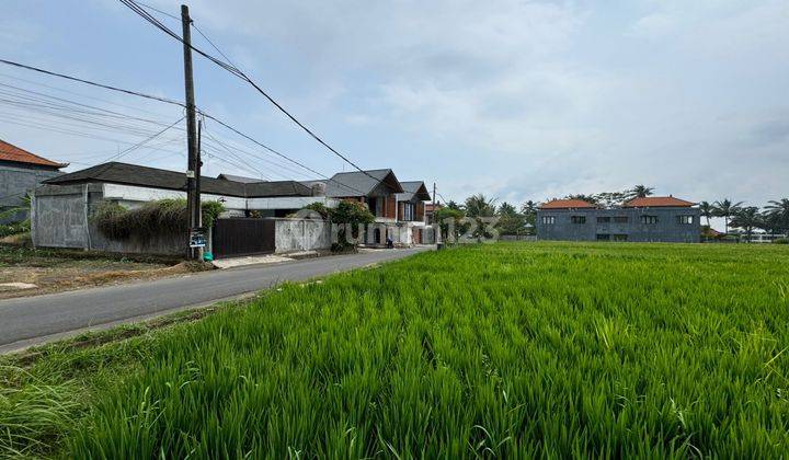 Dijual Tanah Premium Lingkungan Villa View Sawah Akses Jalan 5 M 1