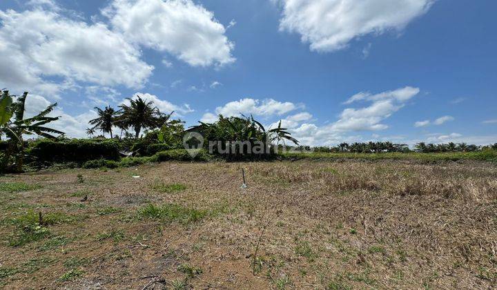 For Sale Premium Land 15 Minutes From Monkey Forest Ubud