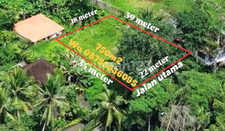 Dijual Lahan Premium Lokasi Hanya 1,5 Km Dari Capella Ubud Shm