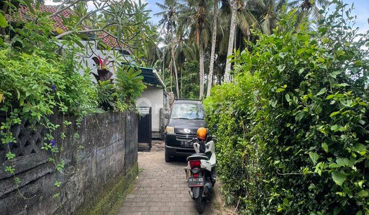 Dijual Tanah Di Mas Ubud 15 Menit Ke Ubud Central View Kebun 2