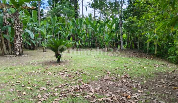 For Sale: Cheap Land in a Beautiful and Serene Village Environment in Ubud For Sale: Cheap Land in a Beautiful and Serene Village Environment in Ubud