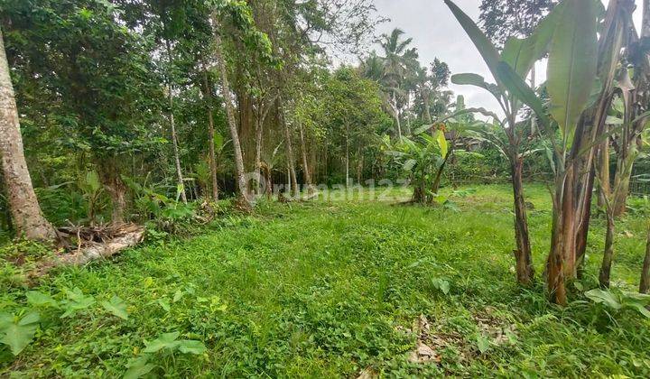 Dijual Lahan Los Sungai Lokasi Ubud View Sawah Sungai Dan Jungle 1