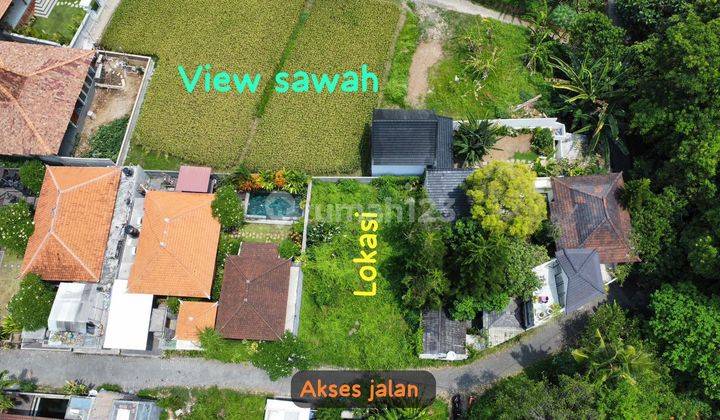 For Sale Ubud Land Villa Environment Paving Road Access Car 1