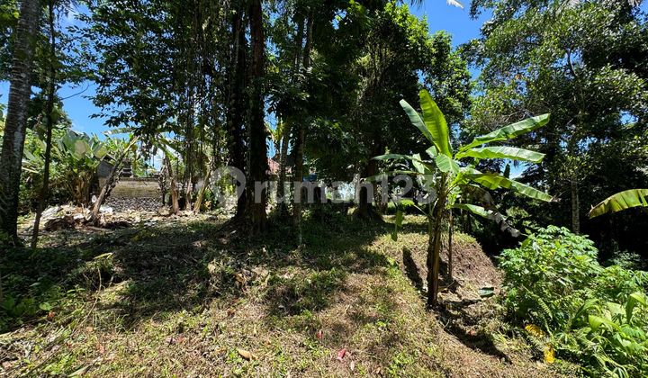 Dijual Lahan Los Sungai Lokasi Ubud View Sawah Sungai Dan Jungle