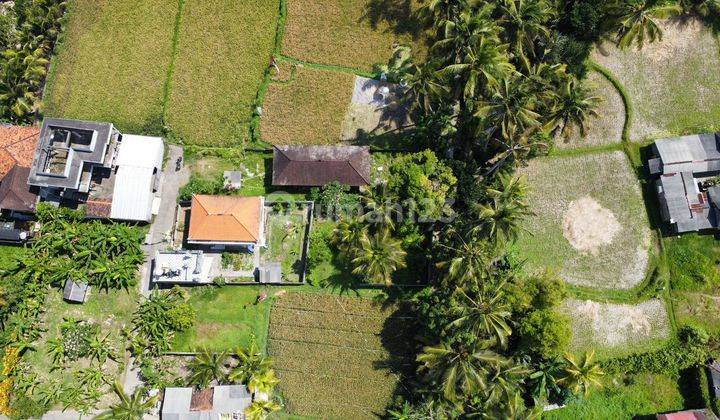 Dijual Lahan Di Ubud Pusat Lingkungan Pedesaan Asri Dan Tenang 2