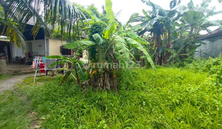 Dijual Tanah Area Istimewa Ubud Kontur Datar Shm  2